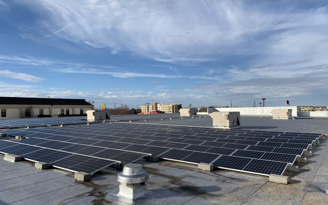 BOLD, LLC Case Study